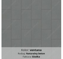 płyta tarasowa ASTI NATURA w kolorze VENTANA