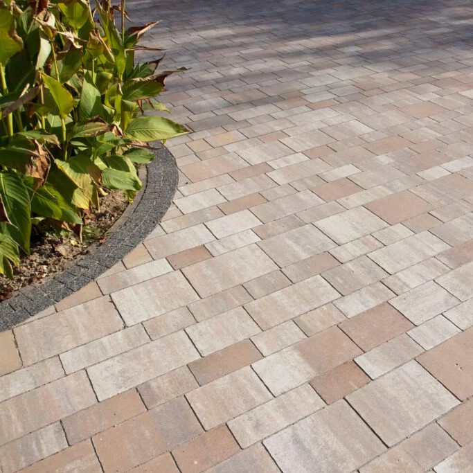 Miniatura Promenada-wapien muszlowy 3