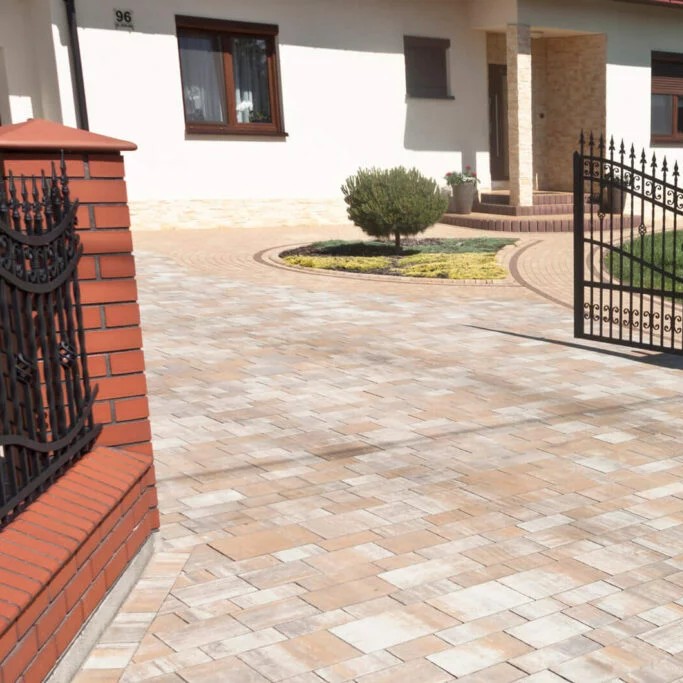 Miniatuta Promenada-wapien muszlowy 2